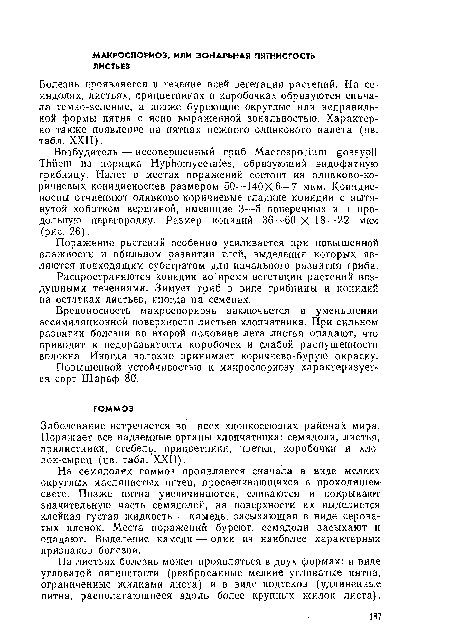 Поражение растений особенно усиливается при повышенной влажности и обильном развитии тлей, выделения которых являются подходящим субстратом для начального развития гриба.