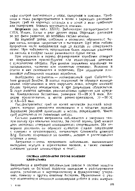 Антракноз (цв. табл. XXIII). Заболевание распространено в США, Индии, Китае и ряде других стран. Поражает растения во все фазы развития, но особенно сильно всходы.