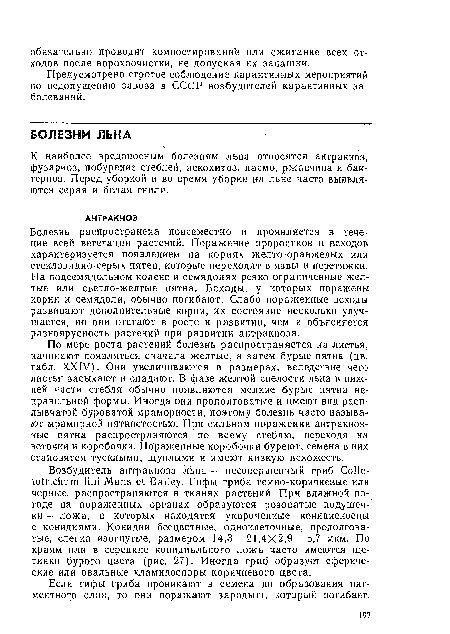 Если гифы гриба проникают в семена до образования пигментного слоя, то они поражают зародыш, который погибает.