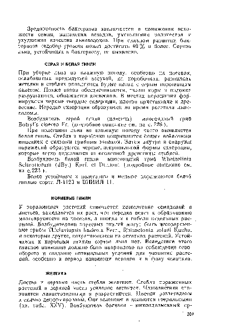 При уборке льна во влажную погоду, особенно на посевах, ослабленных предыдущей засухой, на коробочках, развилках метелки и стеблях появляются бурые нятна с серым порошащим налетом. Позже пятна обесцвечиваются, ткани коры и волокна разрушаются, обнажается древесина. В местах поражения формируются черные твердые склероции, плотно пристающие к древесине. Нередко склероции образуются во время расстила льно-соломы.