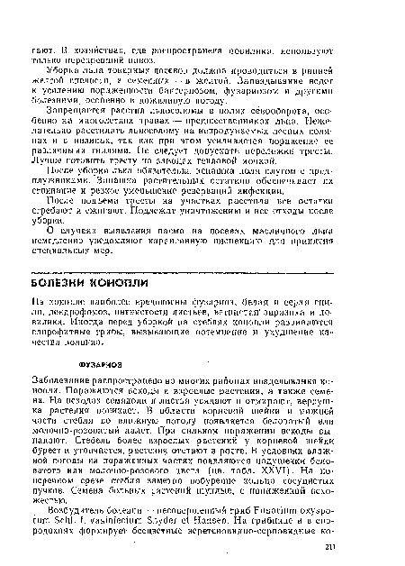 На конопле наиболее вредоносны фузариоз, белая и серая гнили, деидрофомоз, пятнистости листьев, ветвистая заразиха и повилика. Иногда перед уборкой на стеблях конопли развиваются сапрофитные грибы, вызывающие потемнение и ухудшение качества волокна.