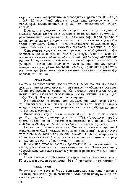 Однодомные сорта конопли поражаются возбудителями фу-зариоза в большей степени, чем двудомные. Ранние посевы конопли поражаются меньше, чем поздние. Меньшему поражению растений способствует внесение в почву органо-минеральных удобрений, тогда как ежегодное внесение под коноплю только минеральных удобрений (особенно кислых) приводит к усиленному развитию фузариоза. Известкование подавляет развитие фу-зариоза на конопле.