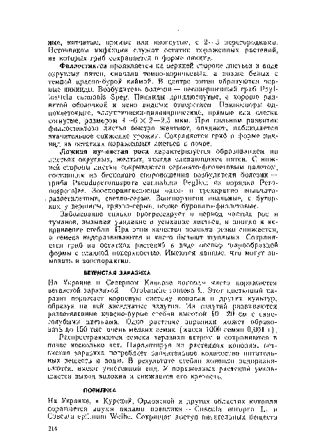 На Украине и Северном Кавказе конопля часто поражается ветвистой заразихой — Orobanclie ramosa I,. Этот цветковый паразит поражает корневую систему конопли и других культур, образуя на ней звездчатые вздутия. Из вздутий развиваются разветвленные красно-бурые стебли высотой 10 - 20 см с синеголубыми цветками. Одно растение заразихи может образовать до 150 тыс. очень мелких семяи (масса 1000 семян 0,001 г).