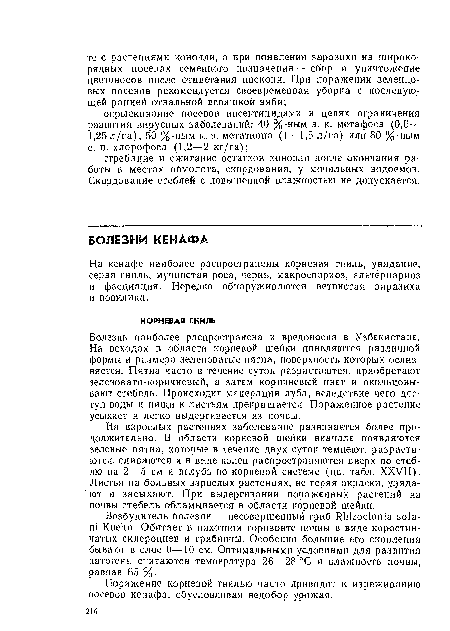 Болезнь наиболее распространена и вредоносна в Узбекистане. На всходах в области корневой шейки появляются различной формы и размера зеленоватые пятна, поверхность которых ослиз-няется. Пятна часто в течение суток разрастаются, приобретают зеленовато-коричневый, а затем коричневый цвет и окольцовывают стебель. Происходит мацерация луба, вследствие чего доступ воды и пищи к листьям прекращается. Пораженное растение усыхает и легко выдергивается из почвы.