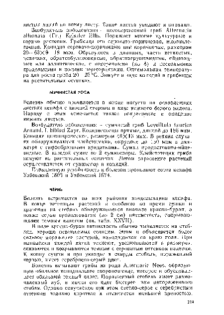 Болезнь вызывают грибы из рода Alternaria Nees, образующие обильное конидиальное спороношение, которое и обусловливает обильный темный налет, Пораженный стебель имеет размочаленный луб, и мочка его идет быстрее, чем непораженного стебля. Однако получаемое при этом светло-серое с серебристым оттенком волокно короткое и отличается меньшей крепостью.