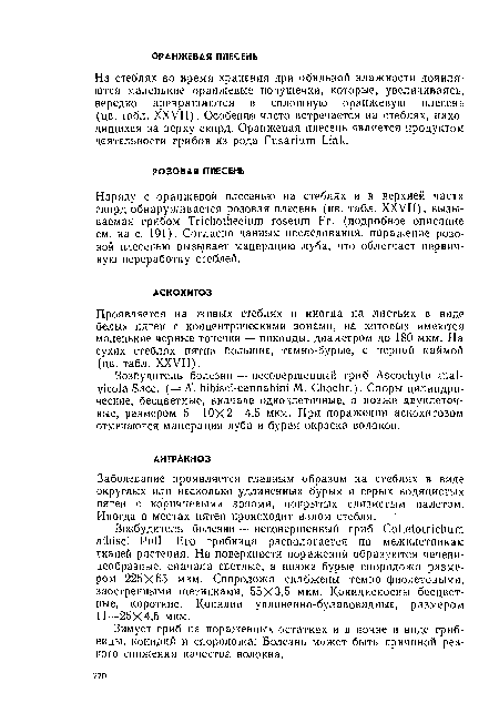 Заболевание проявляется главным образом на стеблях в виде округлых или несколько удлиненных бурых и серых водянистых пятен с коричневыми зонами, покрытых слизистым налетом. Иногда в местах пятен происходит излом стебля.