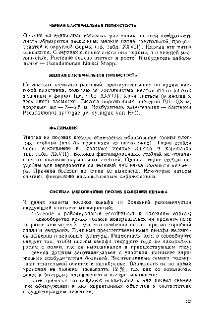 Иногда на посевах кенафа отмечается образование тонких плоских стеблей (как бы сросшихся из нескольких). Такие стебли часто искривлены и образуют мелкие листья и коробочки (цв. табл. XXVII). Волокно фасциированных стеблей не отличается от волокна нормальных стеблей. Однако такие стебли неудобны для переработки на зеленый луб из-за большого диаметра. Причина болезни до конца не выяснена. Некоторые авторы считают фасциацию наследственным заболеванием.