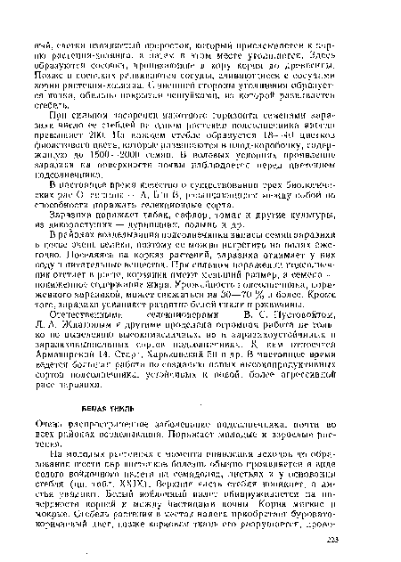 В настоящее время известно о существовании трех биологических рас С), стлана Л, Б и В, различающихся между собой по способности поражать селекционные сорта.