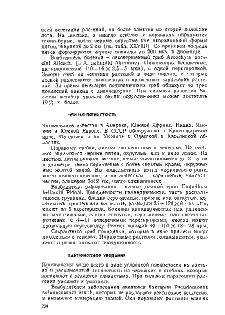 Заболевание известно в Америке, Южной Африке, Индии, Японии и Южной Европе. В СССР обнаружено в Краснодарском крае, Молдавии и на Украине в Одесской и Херсонской областях.