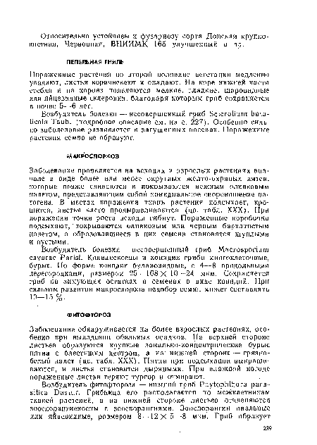 Возбудитель болезни — несовершенный гриб Sclerotium bata-ticola Taub, (подробное описание см. на с. 227). Особенно сильно заболевание развивается в загущенных посевах. Пораженные растения семян не образуют.