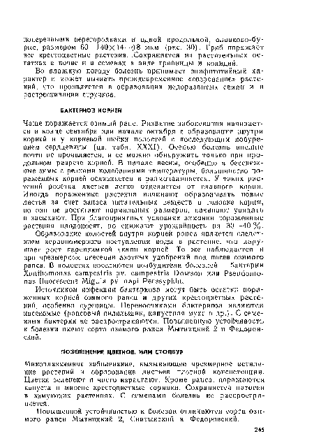 Во влажную погоду болезнь принимает эпифитотийиый характер и может вызвать преждевременное «созревание» растений, что проявляется в образовании недоразвитых семян и в растрескивании стручков.