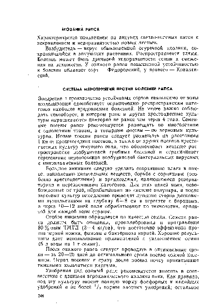 Характеризуется появлением на листьях светло-зеленых пятен и искривлением и недоразвитостью новых листьев.