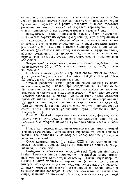 Гриб Th. basicola поражает хлопчатник, лен, фасоль, маш, джут и другие культуры, за исключением злаковых, вики, перца, баклажана, картофеля, конопли, лука, пастернака, салата и свеклы.