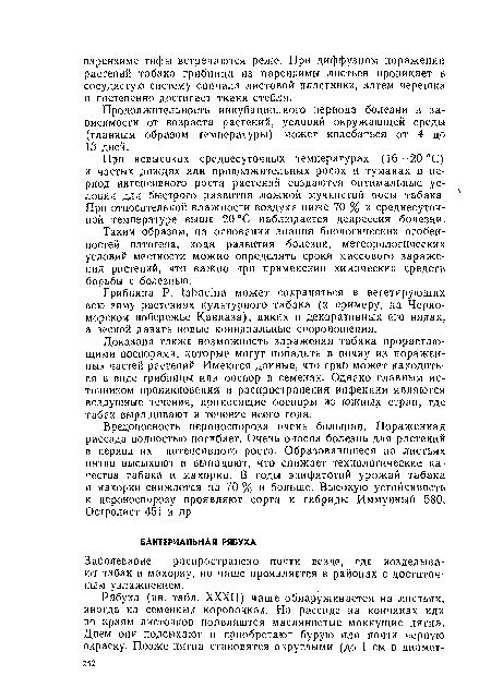 Доказана также возможность заражения табака прорастающими ооспорами, которые могут попадать в почву из пораженных частей растений. Имеются данные, что гриб может находиться в виде грибницы или ооспор в семенах. Одиако главным источником проникновения и распространения инфекции являются воздушные течения, приносящие ооспоры из южных стран, где табак выращивают в течение всего года.