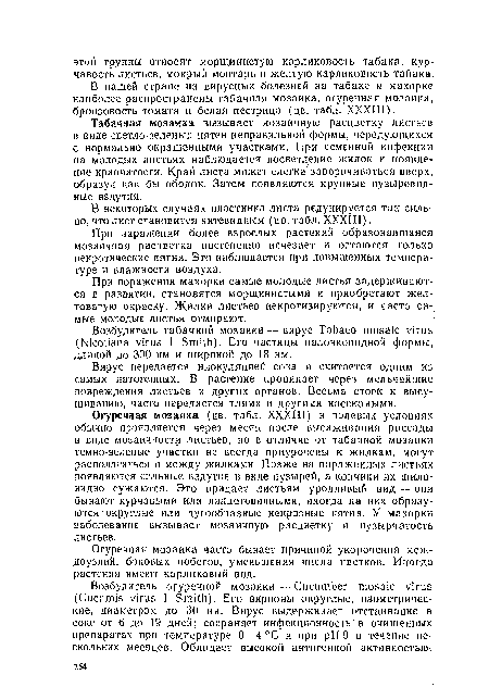 Табачная мозаика вызывает мозаичную расцветку листьев в виде светло-зеленых пятен неправильной формы, чередующихся с нормально окрашенными участками. При семенной инфекции на молодых листьях наблюдается посветление жилок и появление крапчатости. Край листа может слегка заворачиваться вверх, образуя как бы ободок. Затем появляются крупные пузыревидные вздутия.