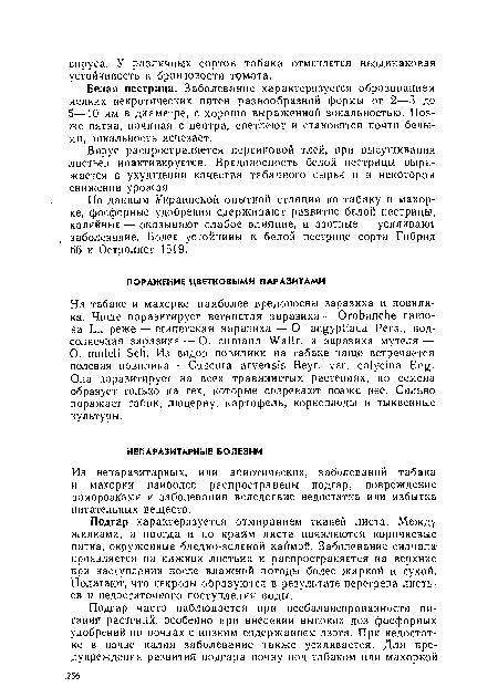 Подгар характеризуется отмиранием тканей листа. Между жилками, а иногда и по краям листа появляются коричневые пятна, окруженные бледно-зеленой каймой. Заболевание сначала проявляется на нижних листьях и распространяется на верхние при наступлении после влажной погоды более жаркой и сухой. Полагают, что некрозы образуются в результате перегрева листьев и недостаточного поступления воды.