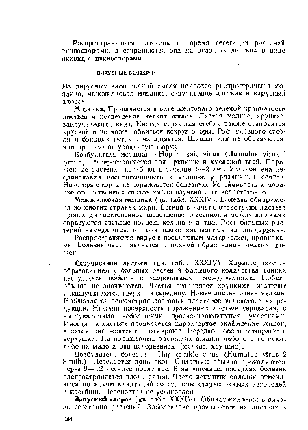 Возбудитель мозаики — Hop mosaic virus (Humulus virus 1 Smith). Распространяется при прививке и хмелевой тлей. Пораженные растения погибают в течение 1—2 лет. Установлена неодинаковая восприимчивость к мозаике у различных сортов. Некоторые сорта не поражаются болезнью. Устойчивость к мозаике отечественных сортов хмеля изучена еще недостаточно.