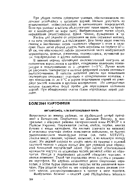 Встречается во многих районах, но наибольший ущерб причиняет в Белоруссии, Прибалтике, на Дальнем Востоке, в центральных и северных районах Нечерноземной зоны РСФСР и в Полесье Украины. Поражаются листья, стебли, клубни, иногда бутоны и ягоды картофеля. На листьях (сначала на нижних) и отдельных участках стебля появляются небольшие, но быстро увеличивающиеся темно-бурые пятна (цв. табл. XXXVIII). Листья вянут, свисают, чернеют, засыхают, а во влажную погоду гниют. На нижней стороне их вокруг пятен на границе с зеленой здоровой тканью в сырую погоду или при утренней росе образуется беловатый паутинистый налет. При низкой относительной влажности воздуха на надземных частях растений налет не образуется. Иногда у пораженных растений отмирают черешки, и листья поникают. Такой тип поражения легко спутать с увяданием картофеля. На клубнях появляются резко очерченные сероватые, а затем бурые вдавленные твердые пятна различной величины. При разрезе клубня на его периферии видны ржавые участки мякоти, распространяющиеся к центру в виде язычков.