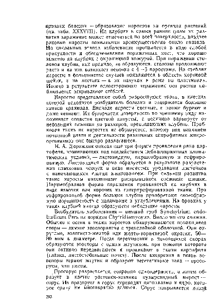 Наросты представляют собой разросшуюся ткань, в клетках которой находится возбудитель болезни и содержатся большие запасы крахмала. Вначале наросты светлые, а позже буреют и даже чернеют. Их бугорчатая поверхность по внешнему виду напоминает соцветие цветной капусты, а величина варьирует от небольших горошин до размеров, превышающих клубень. Пробковая ткань на наростах не образуется, поэтому род влиянием почвенной влаги и деятельности различных сапрофитных микроорганизмов они быстро разлагаются.