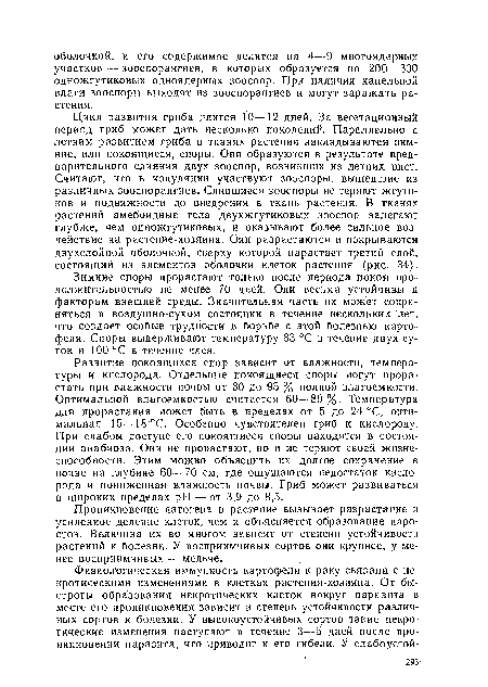 Проникновение патогена в растение вызывает разрастание и усиленное деление клеток, чем и объясняется образование наростов. Величина их во многом зависит от степени устойчивости растений к болезни. У восприимчивых сортов они крупнее, у менее восприимчивых — мельче.