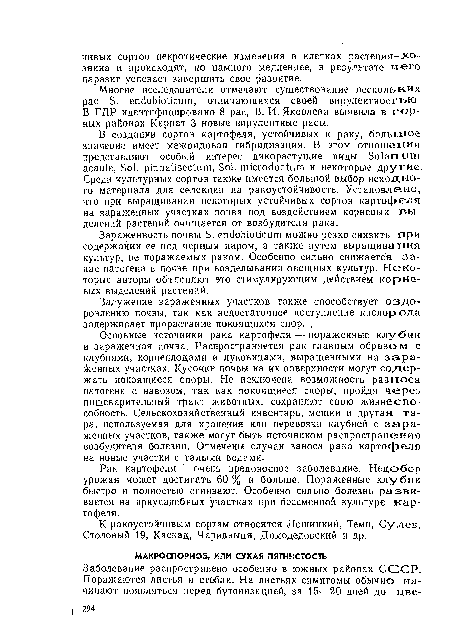 Многие исследователи отмечают существование нескольких рас S. endobioticum, отличающихся своей вирулентностью. В ГДР идентифицировано 8 рас, В. И. Яковлева выявила в горных районах Карпат 3 новые вирулентные расы.