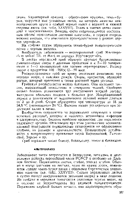 Распространяется гриб во время вегетации конидиями при помощи ветра, с каплями дождя. Споры, прорастая, образуют росток, который проникает в ткани растений через устьица.