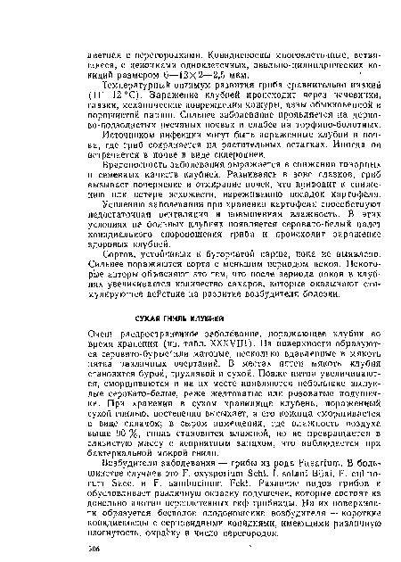 Очень распространенное заболевание, поражающее клубни во время хранения (цв. табл. XXXVIII). На поверхности образуют ся серовато-бурые или матовые, несколько вдавленные в мякоть пятна различных очертаний. В местах пятен мякоть клубня становится бурой, трухлявой и сухой. Позже пятна увеличиваются, сморщиваются и на их месте появляются небольшие выпуклые серовато-белые, реже желтоватые или розоватые подушечки. При хранении в сухом хранилище клубень, пораженный сухой гнилью, постепенно высыхает, а его кожица сморщивается в виде складок; в сыром помещении, где влажность воздуха выше 90 %, гниль становится влажной, но не превращается в слизистую массу с неприятным запахом, что наблюдается при бактериальной мокрой гнили.