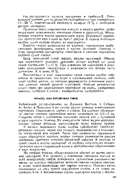 В начале поражения ткань клубня приобретает светло-коричневую окраску, позже она темнеет, сморщивается и становится темно-серой или черной. Часто при загнивании пораженной ткани образуются пустоты, внутри которых развивается рыхлая войлочная грибница патогена различной окраски. В отличие от сухой гнили в местах поражений на клубнях отсутствуют концентрические круги сморщенной ткани и коиидиальное спороношение в виде подушечек.