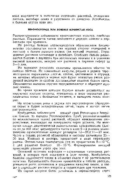 Распространенное заболевание крестоцветных культур, особенно рассады. Поражаются также семенники и нередко кочаны и корнеплоды при хранении.