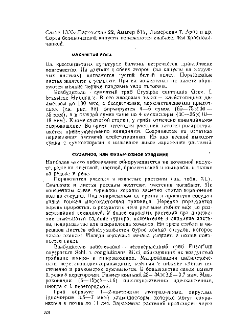 Наиболее часто заболевание обнаруживается на кочанной капусте, реже на листовой, цветной, брюссельской и кольраби, а также на редьке и репе.