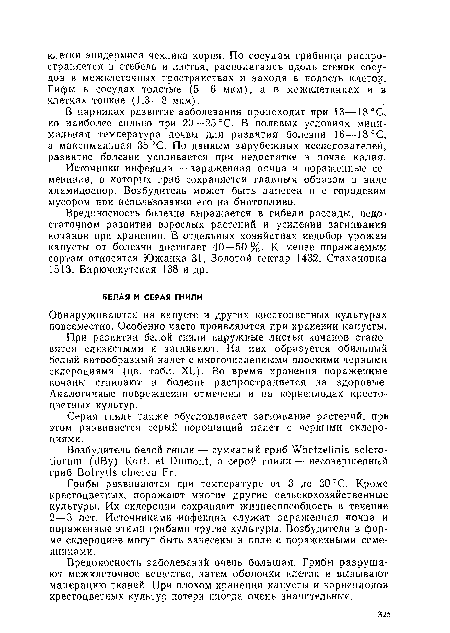 При развитии белой гнили наружные листья кочанов становятся слизистыми и загнивают. На них образуется обильный белый ватообразиый налет с многочисленными плоскими черными склероциями (цв. табл. XL). Во время хранения пораженные кочаны сгнивают и болезнь распространяется на здоровые. Аналогичные повреждения отмечены и на корнеплодах крестоцветных культур.