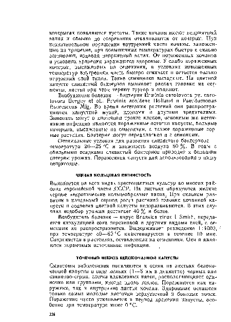 Оптимальные условия для развития слизистого бактериоза — температура 20—-25 °С и влажность воздуха 50%. В годы с обильными осадками слизистый бактериоз приводит к большим потерям урожая. Пораженная капуста для использования в пищу непригодна.