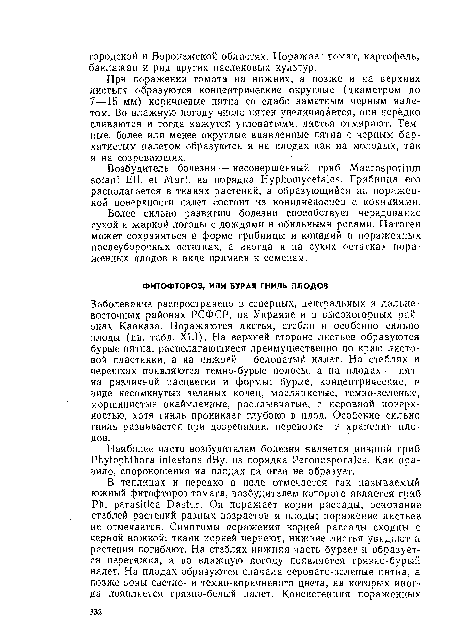 Заболевание распространено в северных, центральных и дальневосточных районах РСФСР, на Украине и в высокогорных районах Кавказа. Поражаются листья, стебли и особенно сильно плоды (цв. табл. XLI). На верхней стороне листьев образуются бурые пятна, располагающиеся преимущественно по краю листовой пластинки, а на нижней — беловатый налет. На стеблях и черешках появляются темно-бурые полосы, а на плодах — пятна различной расцветки и формы: бурые, концентрические, в виде несомкнутых зеленых колец, маслянистые, темно-зеленые, морщинистые окаймленные, расплывчатые, с неровной поверхностью, хотя гниль проникает глубоко в плод. Особенно сильно гниль развивается при дозревании, перевозке и хранении плодов.