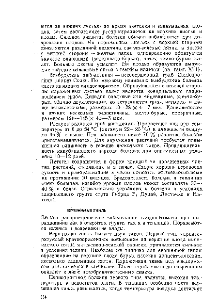 Распространяется гриб конидиями. Прорастают они прн температуре от 6 до 34 °С (оптимум 22—25 °С) и влажности воздуха 95 % и выше. При влажности ниже 70 % развитие болезни приостанавливается. Для заражения растений требуется повышенная влажность в течение нескольких часов. Продолжительность инкубационного периода болезни при оптимальных условиях 10—12 дней..