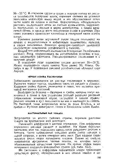 Встречается во многих районах страны, поражая растения томата на протяжении всей вегетации.