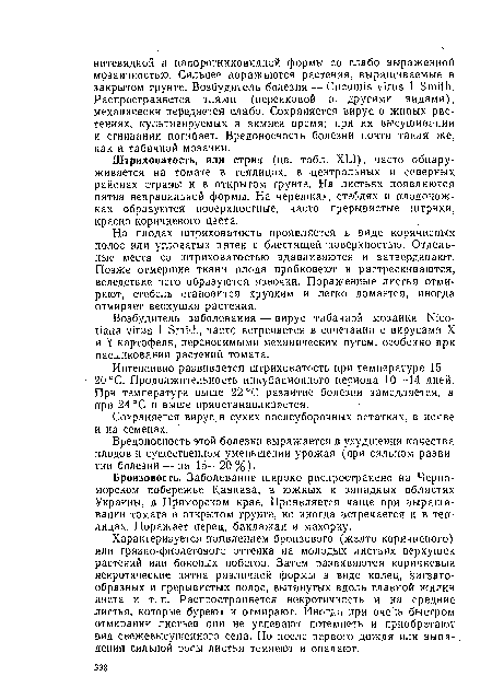 На плодах штриховатость проявляется в виде коричневых полос или угловатых пятен с блестящей поверхностью. Отдельные места со штриховатостыо вдавливаются и затвердевают. Позже отмершие ткани плода пробковеют и растрескиваются, вследствие чего образуются язвочки. Пораженные листья отмирают, стебель становится хрупким и легко ломается, иногда отмирает верхушка растения.