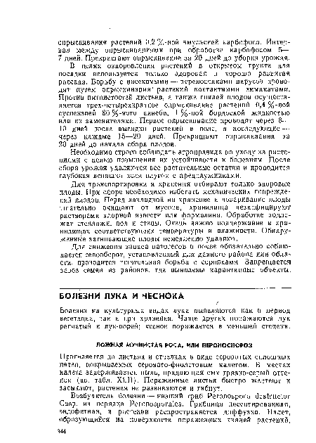 Болезни на культурных видах лука выявляются как в период вегетации, так и при хранении. Чаще других поражаются лук репчатый и лук-порей; чеснок поражается в меньшей степени.