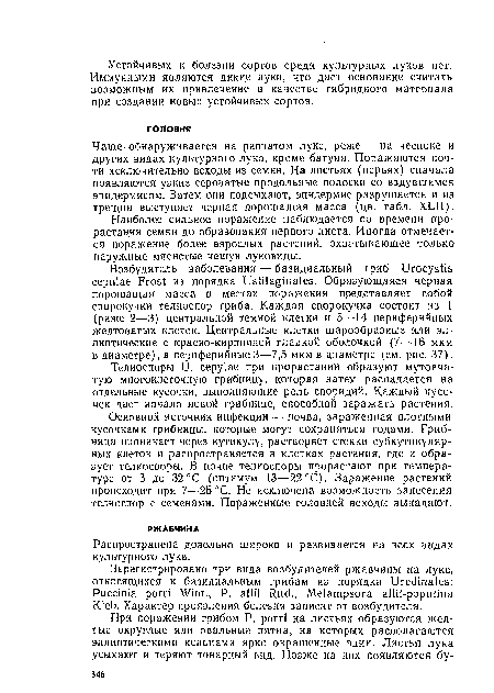 Распространена довольно широко и развивается на всех видах культурного лука.