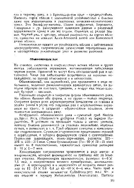 На стволах, скелетных и полускелетных ветках яблони и груши иногда наблюдаются поражения, напоминающие заболевание черным раком. Причиной их могут быть обыкновенный рак и ци-тосиороз. Чаще эти заболевания встречаются на взрослых насаждениях, но иногда отмечаются и в питомниках.