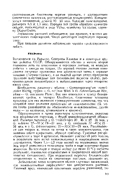 Встречается на Украине, Северном Кавказе и в некоторых других районах СССР. Обнаруживается обычно в начале второй половины лета на пластинках и черешках листьев, на молодых побегах и иногда на плодах. На верхней стороне листьев появляются округлые оранжевые или красноватые пятна с черными точками (сиермагоииями), а на пижней против пятен образуются группами конусовидные или сосковидные выросты (эции), раскрывающиеся звездообразно и выбрасывающие через отверстие массу спор.