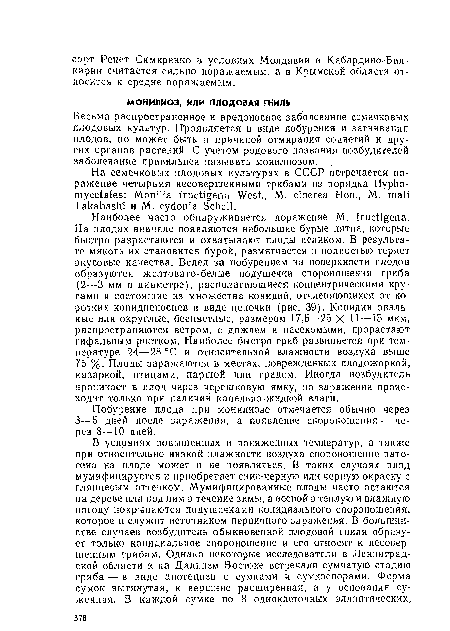 Весьма распространенное и вредоносное заболевание семечковых плодовых культур, Проявляется в виде побурения и загнивания плодов, по может быть и причиной отмирания соцветий и других органов растений. С учетом родового названия возбудителей заболевание правильнее называть монилиозом.