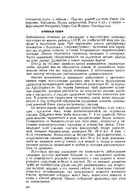 Некоторые авторы указывают на возможность заболевания плодовых культур млечным блеском не от поражения грибом, а от подмерзания деревьев и связанного с ним водного и минерального голодания побегов и листьев. По их мнению, развитие гриба на ослабленном дереве следует рассматривать как вторичное явление, ведущее к его полной гибели. В отдельных случаях возможно возникновение так называемого ложного млечного блеска, причинами которого могут быть недостаток извести в почве и плохой дренаж. Однако побуреиия древесины при этом не наблюдается.