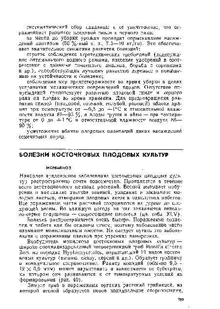 Наиболее вредоносное заболевание косточковых плодовых культур распространено почти повсеместно. Проявляется в течение всего вегетационного периода растений. Весной вызывает побу-рение и засыхание цветкЬв завязей, увядание и засыхание молодых листьев, отмирание плодовых веток и однолетних побегов. Все пораженные части растений сохраняются на дереве до следующей весны. Во влажную погоду на них появляются пепельно-серые подушечки — спороношение патогена (цв. табл. XLV).