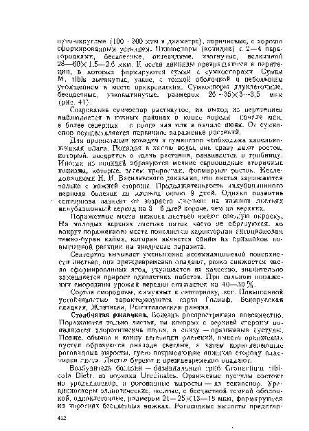 Созревание сумкоспор растянутое, их выход из перитециев наблюдается в южных районах в конце апреля — начале мая, в более северных — в конце мая или в начале июня. От сумкоспор осуществляется первичное заражение растений.