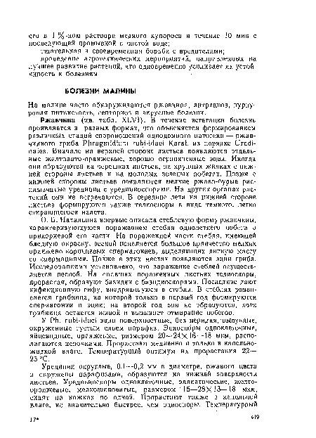 На малине часто обнаруживаются ржавчина, антракноз, пурпуровая пятнистость, септориоз и вирусные болезни.