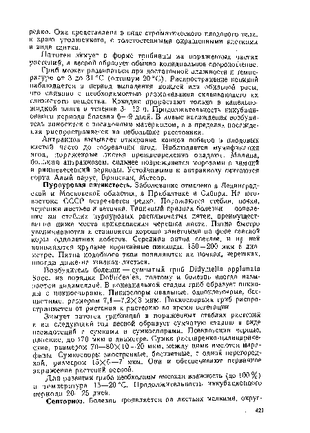 Патоген зимует в форме грибницы на пораженных частях растений, а весной образует обычно конидиальное спороношение.