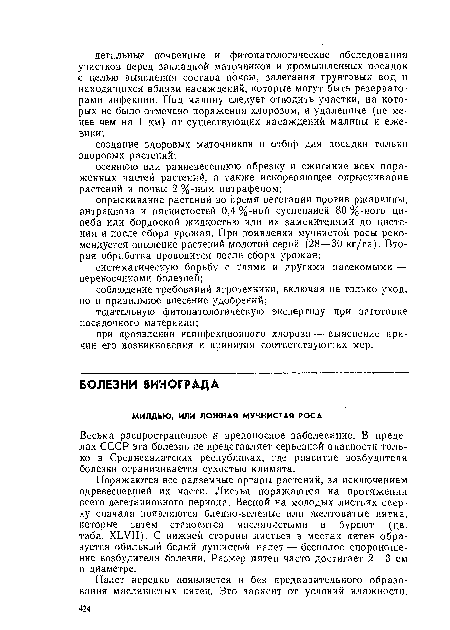 Поражаются все надземные органы растений, за исключением одревесневшей их части. Листья поражаются на протяжении всего вегетационного периода. Весной на молодых листьях сверху сначала появляются бледно-зеленые или желтоватые пятна, которые затем становятся маслянистыми и буреют (цв. табл. ХЬУП). С нижней стороны листьев в местах пятен образуется обильный белый пушистый налет — бесполое спороиоше-ние возбудителя болезни. Размер пятен часто достигает 2—3 см в диаметре.