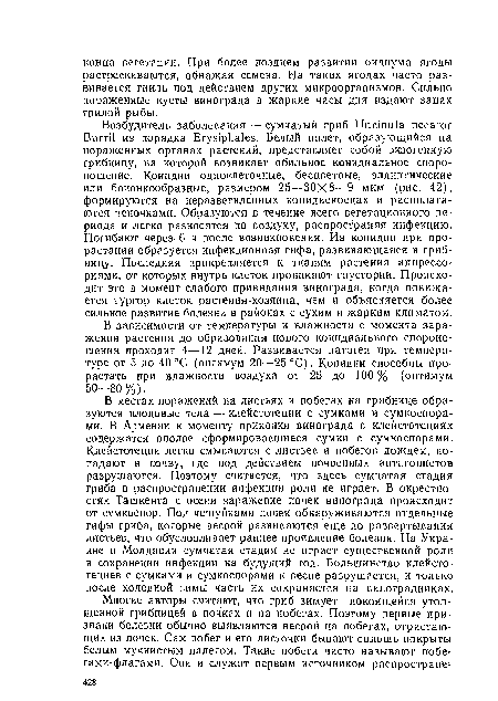 В зависимости от температуры и влажности с момента заражения растения до образования нового конидиального спороио-шения проходит 4—12 дней. Развивается патоген при температуре от 5 до 40 °С (оптимум 20—25 °С). Конидии способны прорастать при влажности воздуха от 25 до 100 % (оптимум 50-80 %).