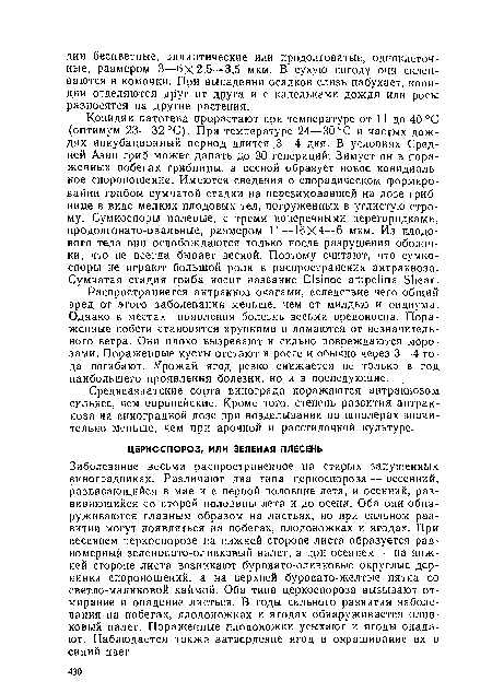 Распространяется антракноз очагами, вследствие чего общий вред от этого заболевания меньше, чем от милдью и оидиума. Однако в местах появления болезнь весьма вредоносна. Пораженные побеги становятся хрупкими и ломаются от незначительного ветра. Они плохо вызревают и сильно повреждаются морозами. Пораженные кусты отстают в росте и обычно через 3—4 года погибают. Урожай ягод резко снижается не только в год наибольшего проявления болезни, но и в последующие.