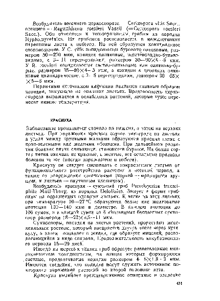 Краснуху не следует смешивать с покраснением листьев от функционального расстройства растения в осенний период, а также от повреждения насекомыми (корней — мраморным хрущом, и листьев — паутинным клещиком).